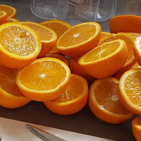 ياوري B&B Klaar المظهر الخارجي الصورة